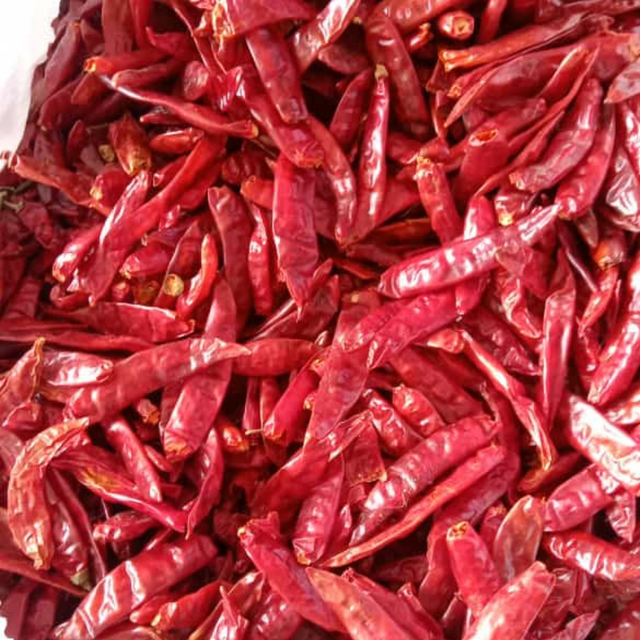 Factory Supply Raw Dried Red Chili - Image 4