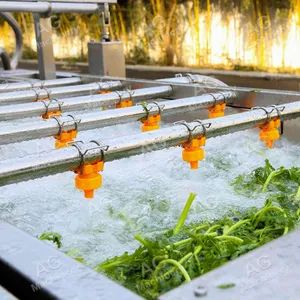 Durable Strawberry Washing Machine Fruit and Vegetable Processing Production Line - Image 2