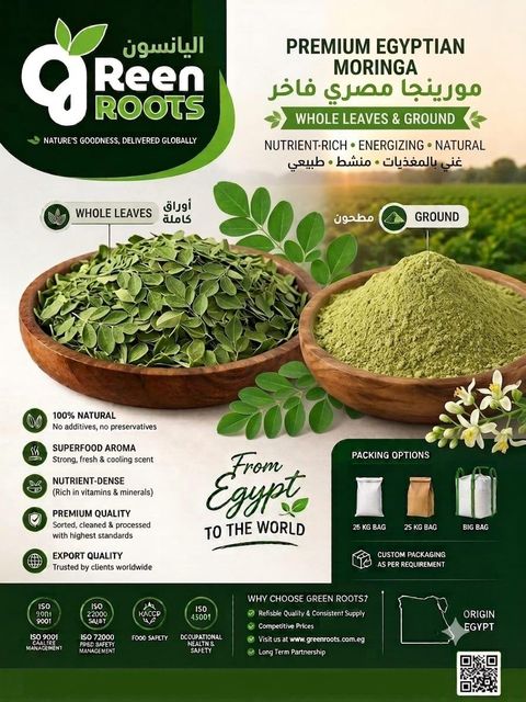 PREMIUM EGYPTIAN MORINGA - Image 1