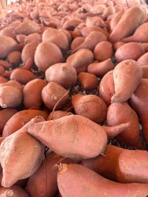 Sweet potatoes - Image 1