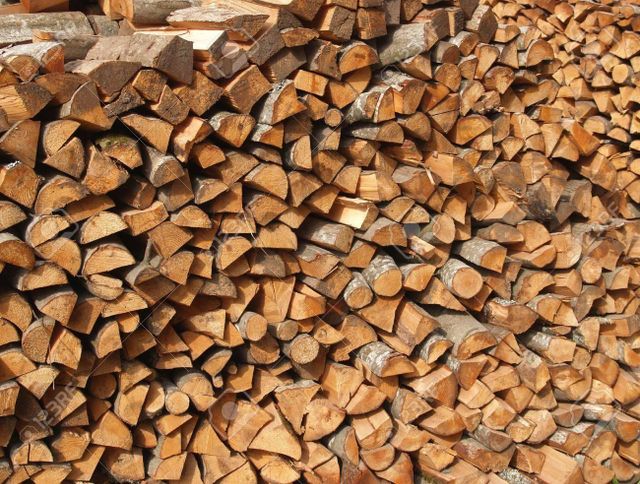 Alder firewood logs ready to burn providing smooth heat and minimal smoke perfect for home fireplace or outdoor use Buy today with Fast Delivery and reliable Wholesale supply - Image 4