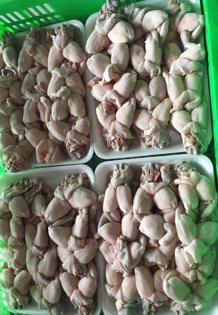 Sale frozen skinless bull frog legs meat frozen frog legs from Vietnam GAP KOSHER Certificate - Image 6