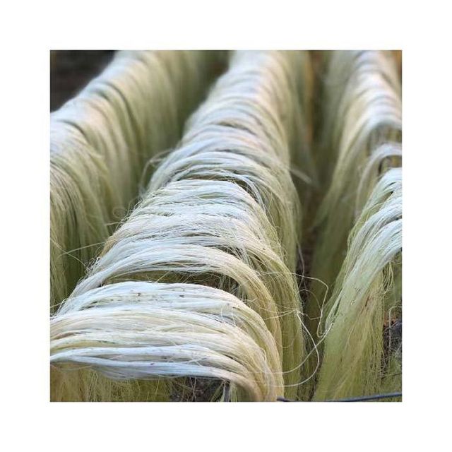 Sisal fiber Eco-friendly sisal fiber Sisal fiber about 90cm Eco-friendly sisal fiber - Image 4