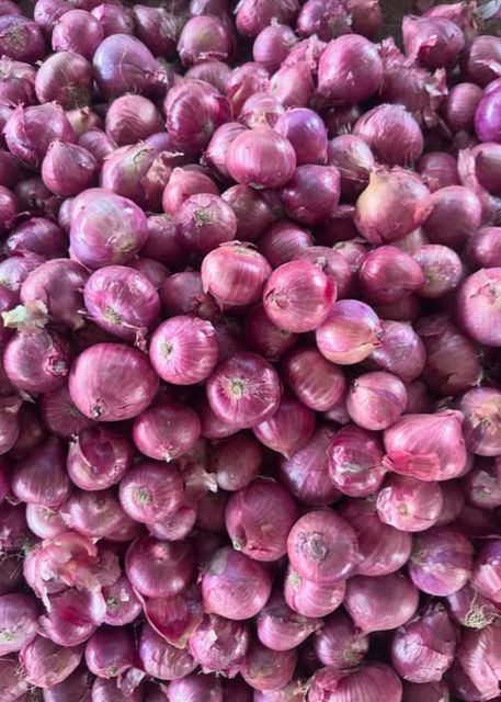 Fresh Onions - Image 2