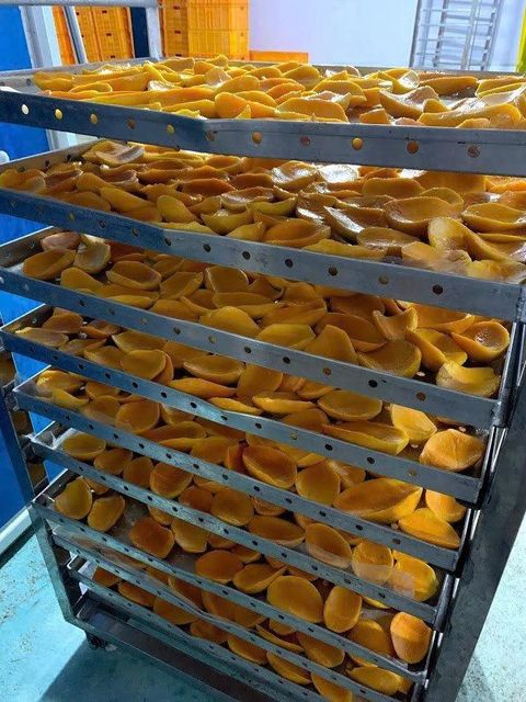 Premium Soft-Dried Mango Slices (High-Quality Paste/Slices Alternative) - Image 2