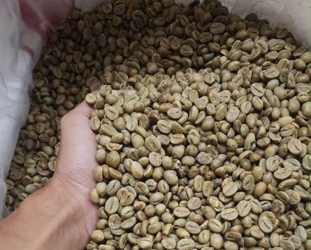 green bean coffee from Indonesia export quality - Image 3