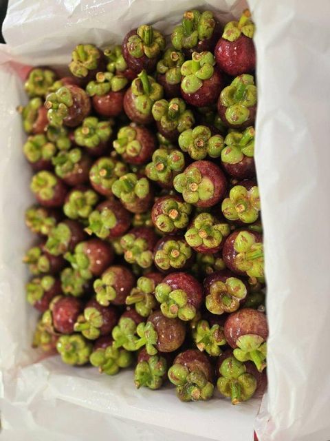 Organic Premium Mangosteen from Thailand (Available various sizes from 60g to 90g>) - Image 3