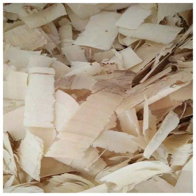 HOT SALE WOOD SHAVINGS / WOOD SHAVINGS FOR HORSE BEDDING READY - Image 3
