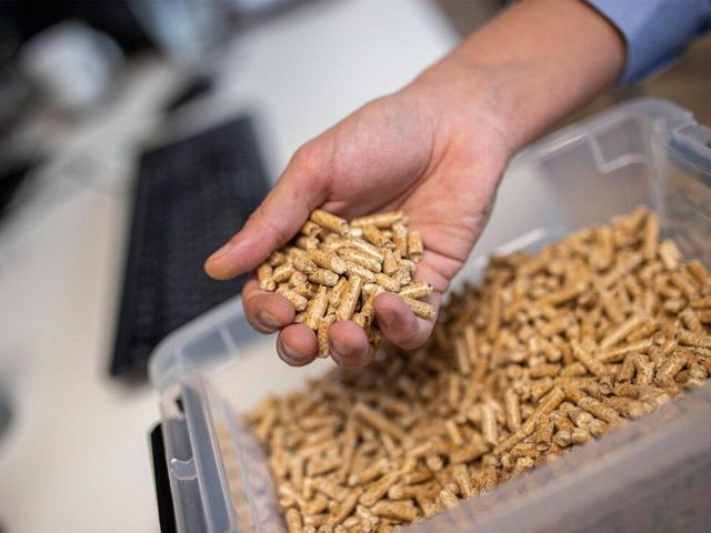 Wooden Biomass Briquette Pellets France Best Price EN Plug A1 A2 Heating 10% Ash 1100-1300kg/m Density 6-8mm - Image 5