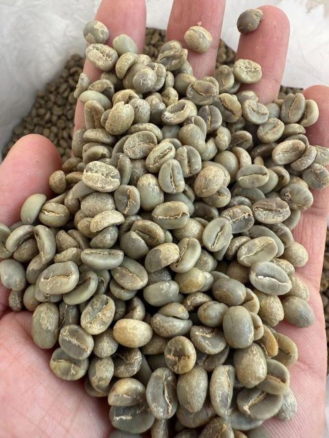 ARABICA COFFEE BEANS - Image 2