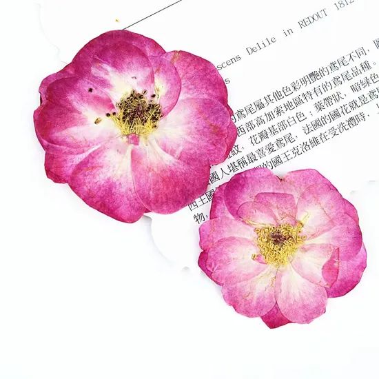 Resin Frame Bookmark Candle Materials DIY Craft Pressed Flower Bubble Rose - Image 6
