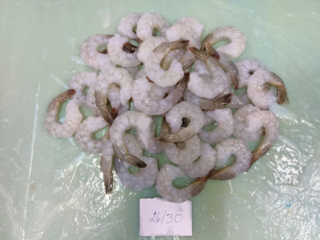 Frozen Vannamei PDTO Shrimp - Image 3