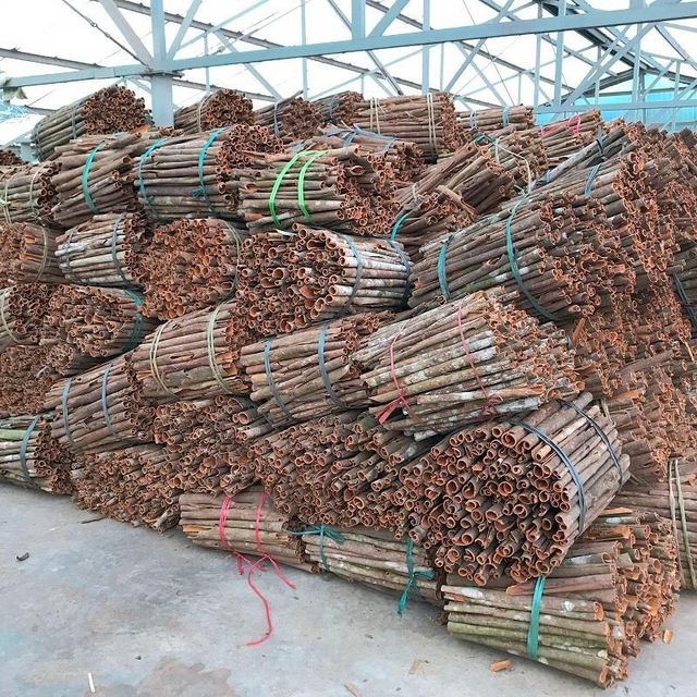 Whole Tube Cassia (unpeeled) Origin Vietnam Form Whole Stalks Port Hai Phong Port Max. Moisture (%) 13.5 Packaging 40kg / PP bag - Image 1