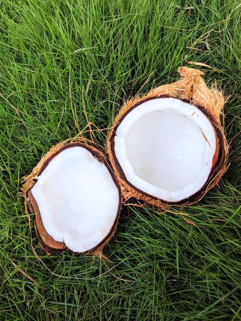 semi husked coconut – product photo 4, product detail gallery