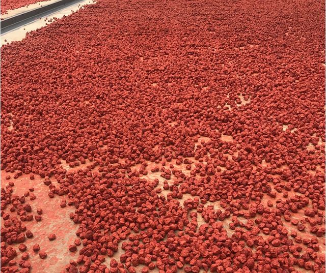 Factory Directly Wholesale High Quality Preserved Red Sweet Sour Salty Dried Plum Fruits Cheap Price Chinese Dried Red Plum - Image 5