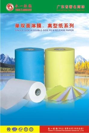 Release Paper for Self Adhesive Label Material - Image 6