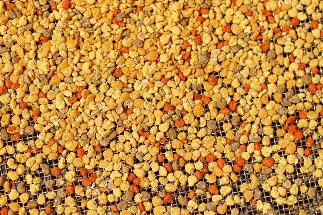Buy Premium Bee Pollen With Natural Energy Support Rich Source Of Amino Acids Vitamins And Essential Nutrients - Image 2