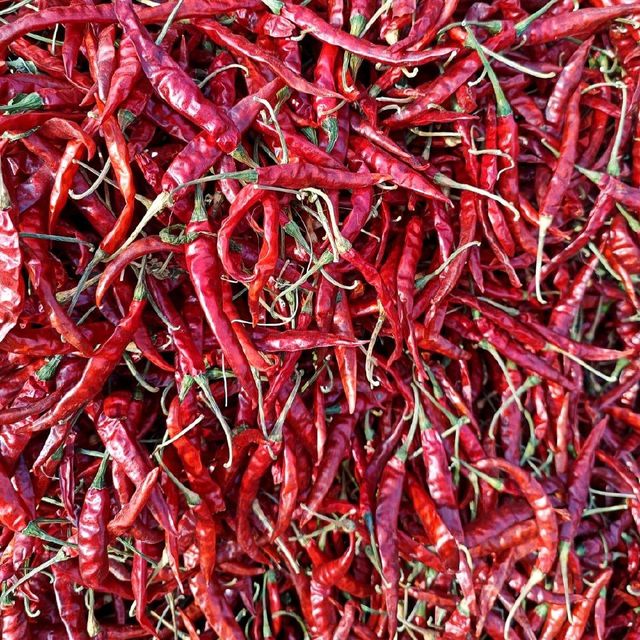 Dry Red Chilli - Image 4