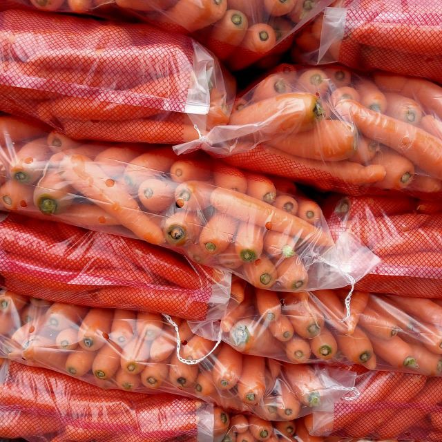 carrots🥕🥕🥕 Place of Origin Egypt Model Number HS Code: 0701.90.10 Packaging 10 & 25 KG Gott Bags 10 & 25 kg Propylene - Image 3