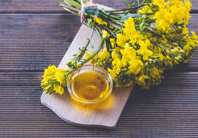 Refined Canola Oil - Image 2