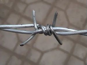 Barbed Iron Wire Galvanized Barbed Wire for Protection - Image 1
