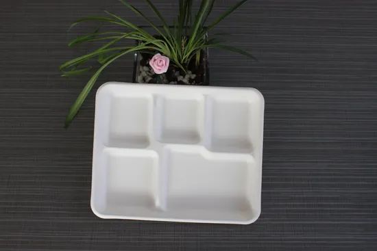 Food Grade Popular 12.5'' 5 Compartment Sugarcane Tray Disposable Bagasse Tableware - Image 3