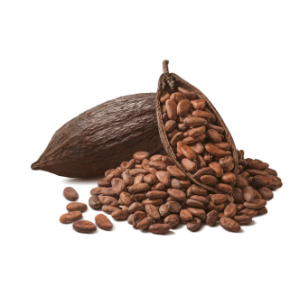 Premium Quality Natural Cocoa Beans | Wholesale Supplier & Exporter - Image 2