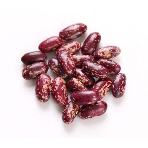 QUALITY WHITE KIDNEY BEANS READY FOR EXPORT +255787979235 Grade A Style Dried Moisture 16% Shape Long,flat Origin Tanzania - Image 3