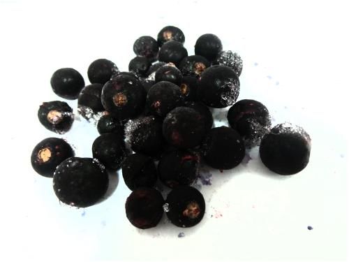 Iqf Blackcurrant - Image 1