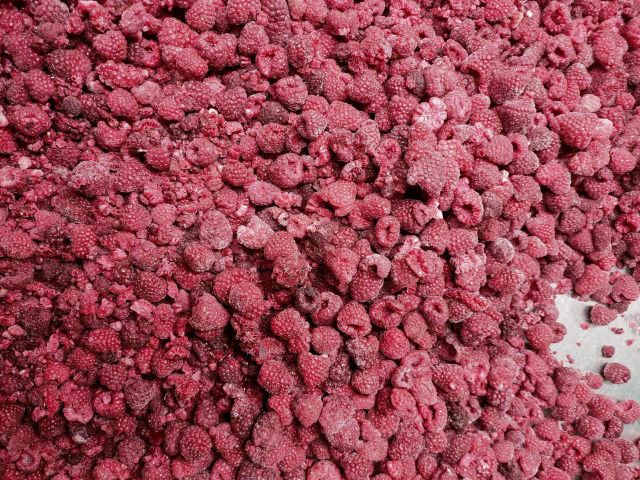 Lampone surgelato Frozen Content Ratio - Image 3