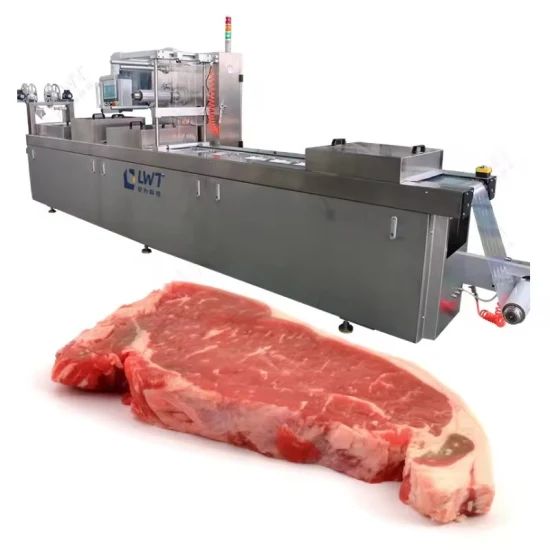 Factory Price Fish Seafood Sausage Cheese Stick Meat Vacuum Thermoforming Packing Machine - Image 1