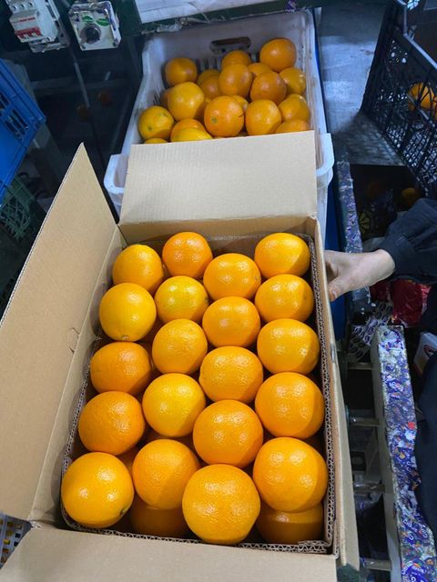 Orange and pomegranate - Image 3