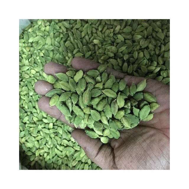 buy bulk green cardamom elaichi pods wholesale price high quality spice for export food industry chai tea and traditional recipesbuy organic green elaichi cardamom pods for sale fresh aromatic spice for tea desserts baking and cooking - Image 5