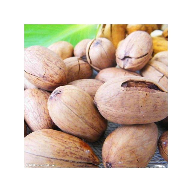 High Quality Pecan Nuts Price Healthy Organic Roasted Pecan Nuts in Wholesale price market - Image 2