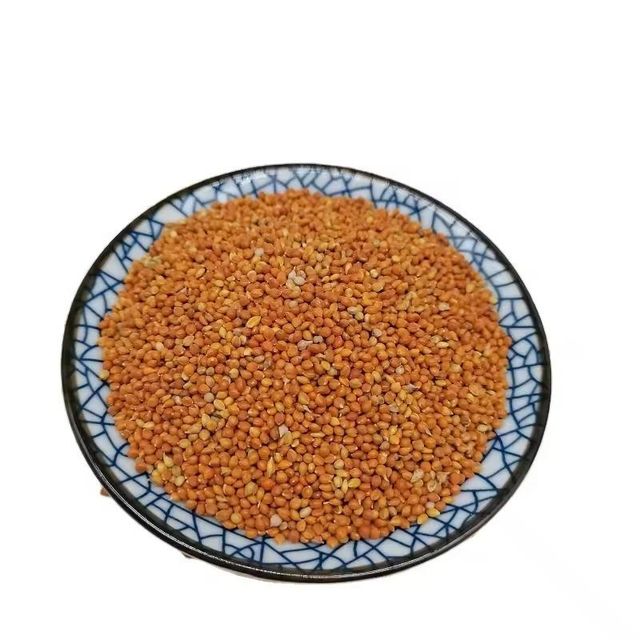 Premium Organic Millet Grain For Healthy Daily Meals And Natural Nutrition Rich Farm Fresh Quality Supply - Image 3
