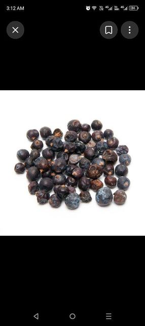 Juniper berries - Image 4