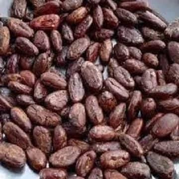 High Quality Wholesale Dried Almond Kernels Healthy Snack with Premium Price Hot Offer Please Whatsapp +255787979235 - Image 5