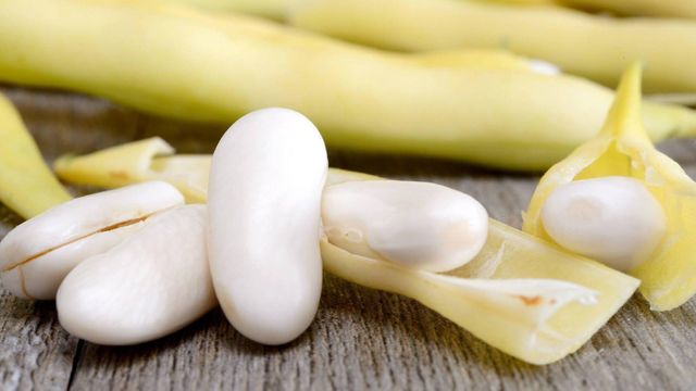 Large White Kidney Beans Bulk Packaging Top Grade for Sale at Best Selling Price - Image 3