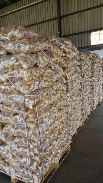 Premium Egyptian Fresh Potatoes - Export Quality - Image 4