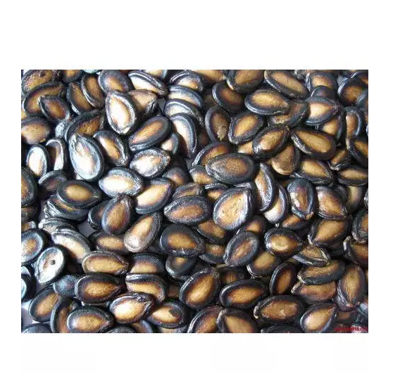 Best Quality Hot Sale Price Water Melon Seeds Grade A Max. Moisture (%) 5 Type Water Melon - Image 2
