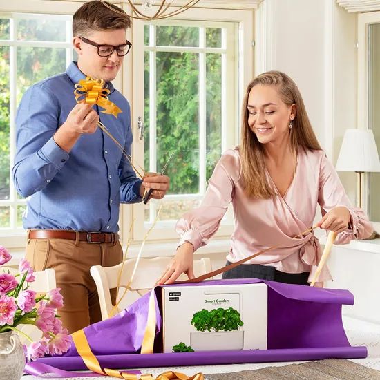 Innovative Smart Garden System for Kitchen Window Herbs - Image 3