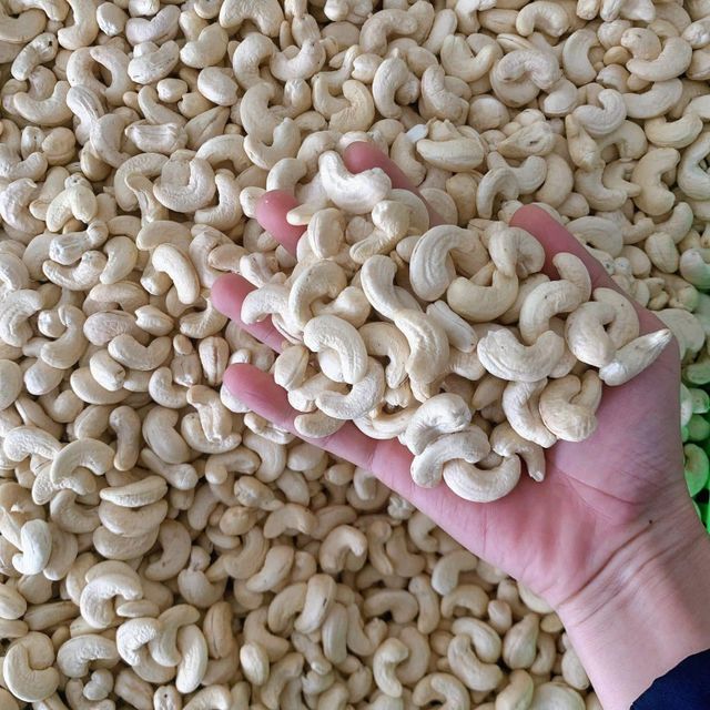 Premium Quality Cashew Nuts Roasted - Image 1