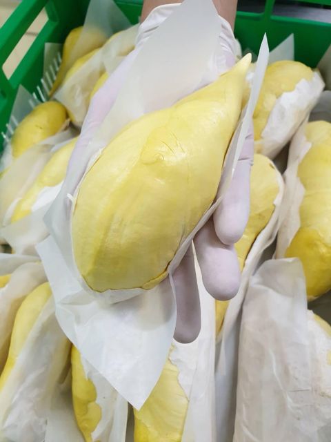 Premium Fresh Organic Peeled Durian Mon Thong King of Fruits Original Taste From Thailand Rich & Creamy 500G/BOX (Peeled) - Image 4