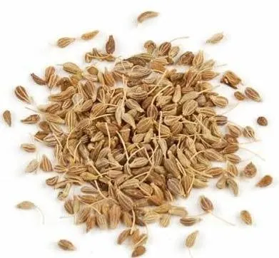 Anise – product photo 3, product detail gallery