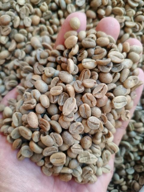 premium Indonesian Green Bean Coffee - Image 3