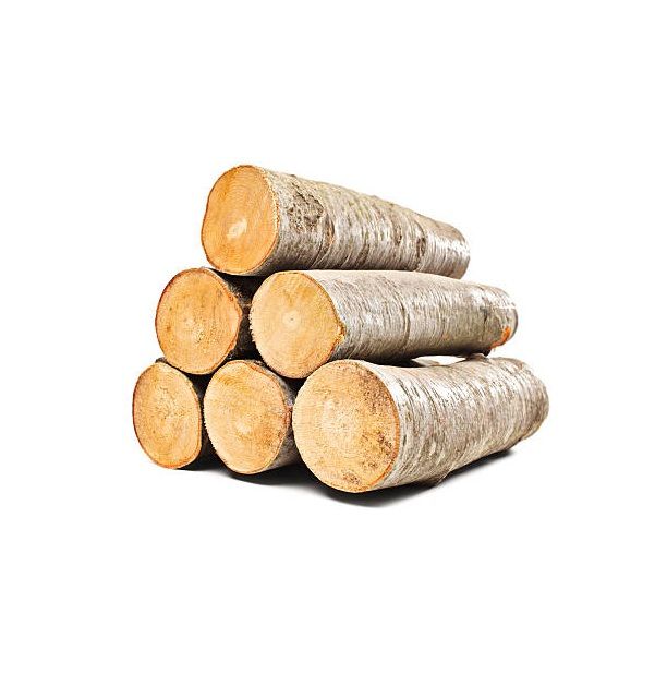 Hard Wood Round Logs Original Quality Supplier - Image 3