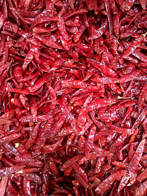 Guntur Teja S17 Chillies Color Vivid Form Dry Chilies Brand Name INDIA Heat Level Intense Flavor Strong And Fragrant Packaging customized packaging - Image 3