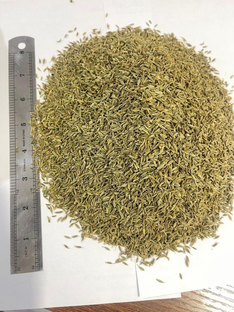 cumin seeds Aroma Strong Packaging 25kg Color Yellow-brown Form Whole Or Ground Place of Origin Egypt Flavor Bitter, Earthy - Image 1