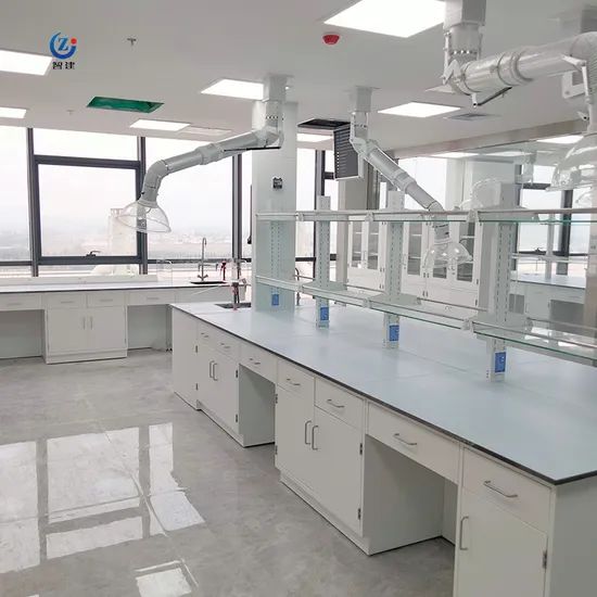 Lab Furniture Rack System Table Laboratory Bench Price Origin China Condition New Trademark TOPFEA Model NO. ZJIB001 HS Code - Image 3