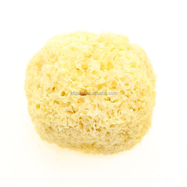 High Quality Chinese Edible jelly Tremella Price Fuciformis Dried Snow Fungus - Image 3